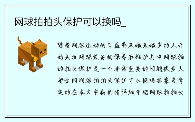 网球拍拍头保护可以换吗_