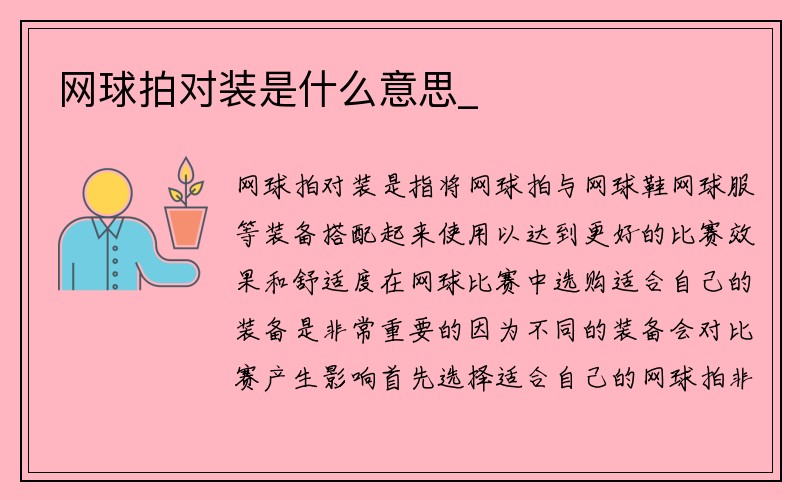 网球拍对装是什么意思_